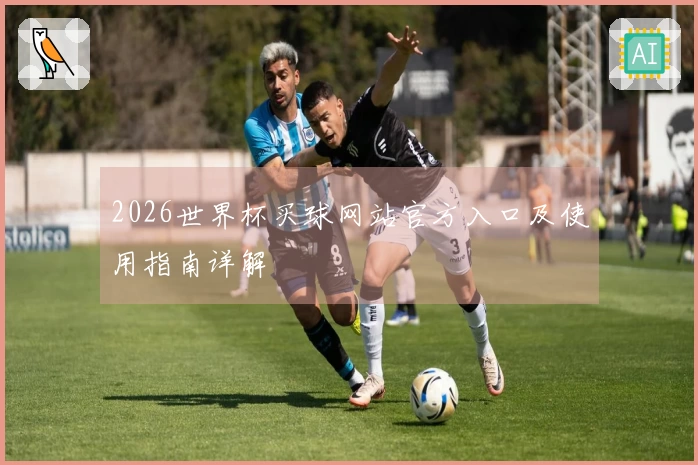 2026世界杯买球网站官方入口及使用指南详解