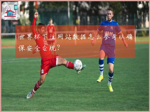 世界杯下注网站数据怎么参考以确保安全合规?