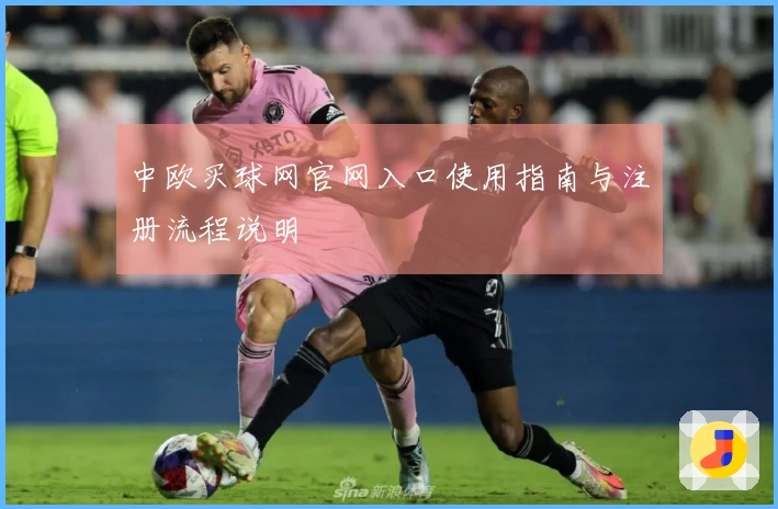中欧买球网官网入口使用指南与注册流程说明