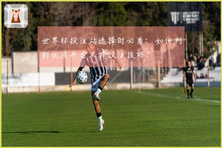 世界杯投注站选择时必看：如何判别优质平台及其投注技巧？