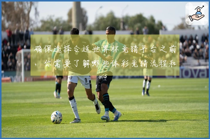 确保选择合适世界杯竞猜平台之前，你需要了解哪些体彩竞猜流程和注意事项？