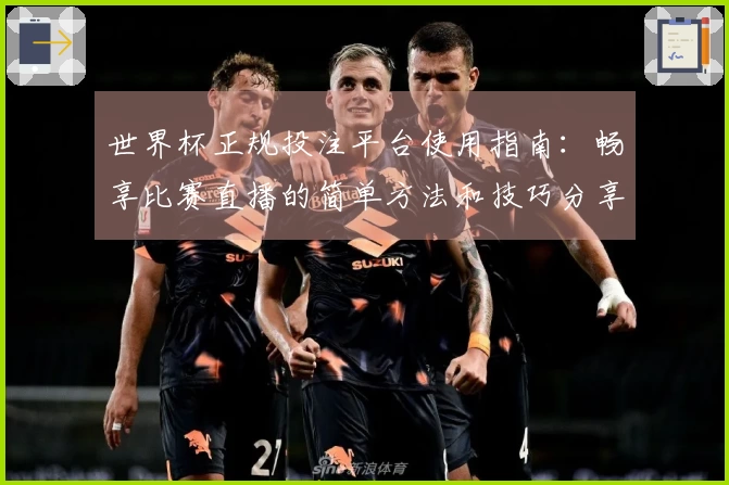 世界杯正规投注平台使用指南：畅享比赛直播的简单方法和技巧分享