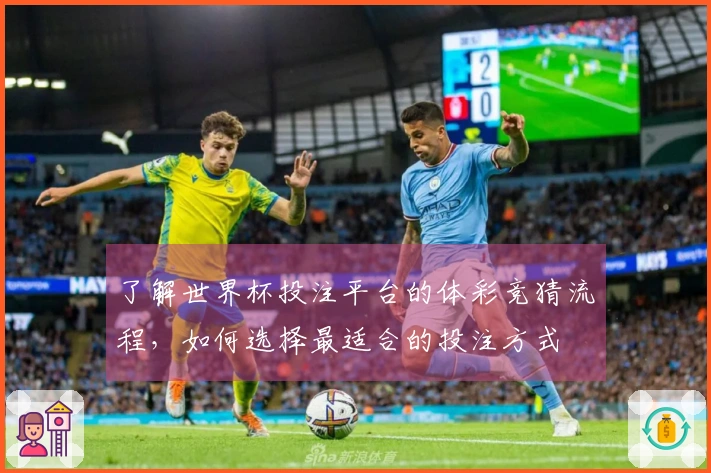 了解世界杯投注平台的体彩竞猜流程,如何选择最适合的投注方式