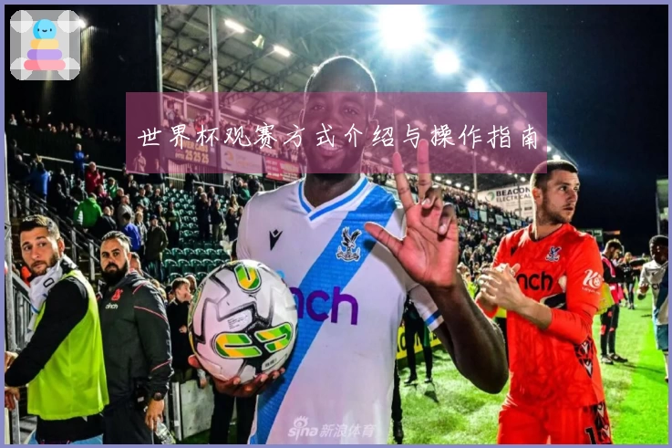 世界杯观赛方式介绍与操作指南
