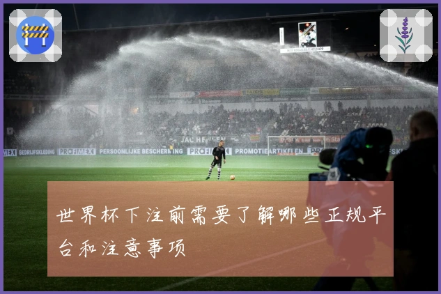 世界杯下注前需要了解哪些正规平台和注意事项