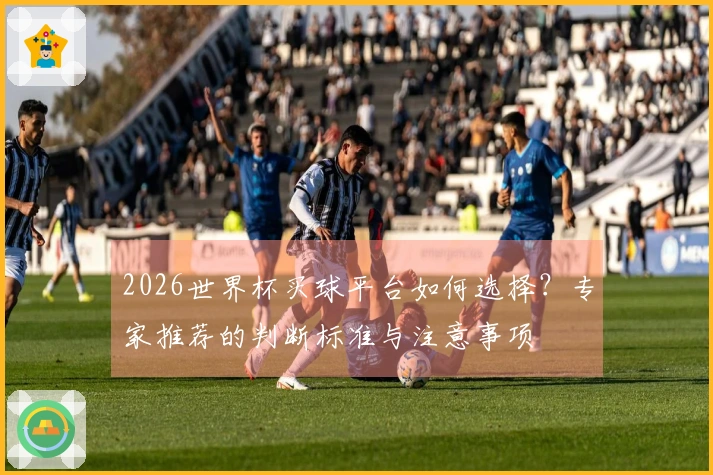 2026世界杯买球平台如何选择？专家推荐的判断标准与注意事项