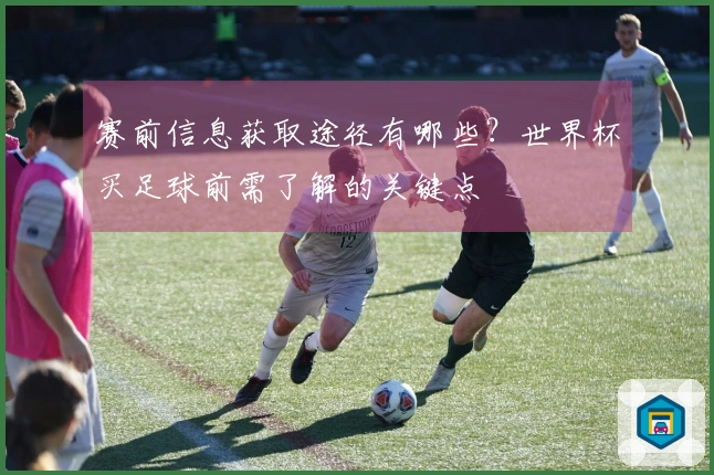 赛前信息获取途径有哪些?世界杯买足球前需了解的关键点