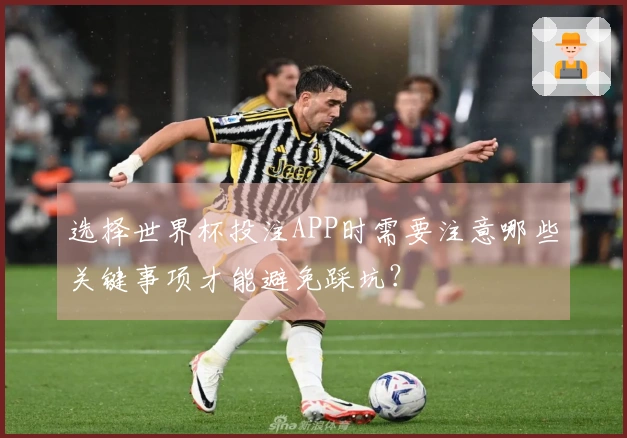 选择世界杯投注APP时需要注意哪些关键事项才能避免踩坑？
