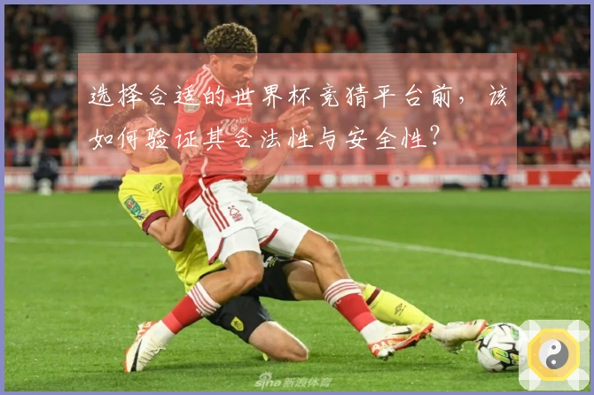 选择合适的世界杯竞猜平台前，该如何验证其合法性与安全性？