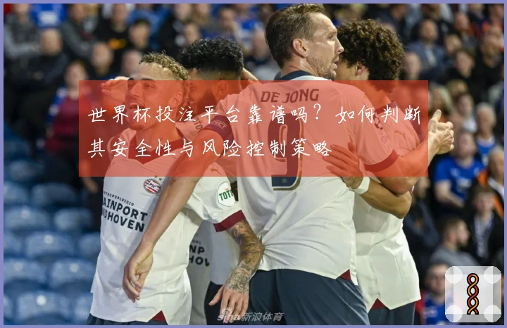 世界杯投注平台靠谱吗？如何判断其安全性与风险控制策略