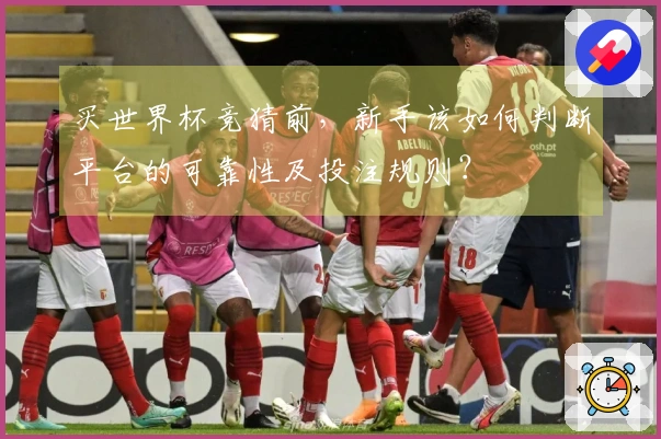 买世界杯竞猜前，新手该如何判断平台的可靠性及投注规则？