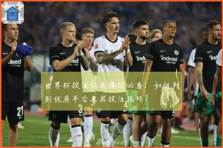 世界杯投注站选择时必看：如何判别优质平台及其投注技巧？