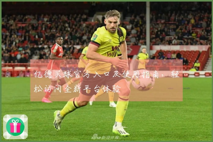 亿德买球官方入口及使用指南，轻松访问全新平台体验