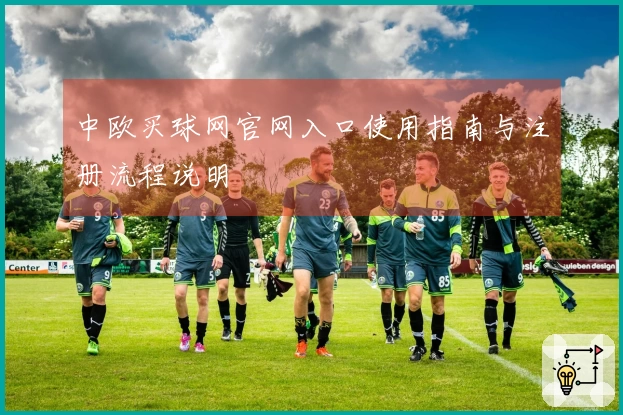 中欧买球网官网入口使用指南与注册流程说明
