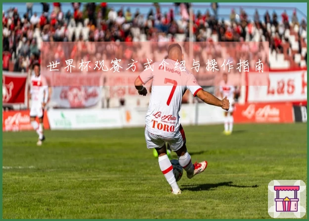 世界杯观赛方式介绍与操作指南