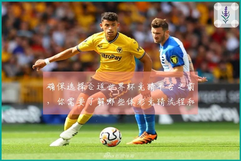 确保选择合适世界杯竞猜平台之前，你需要了解哪些体彩竞猜流程和注意事项？