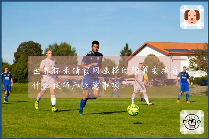 世界杯竞猜官网选择时预算安排有什么技巧和注意事项？
