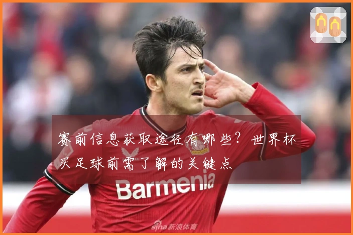 赛前信息获取途径有哪些？世界杯买足球前需了解的关键点