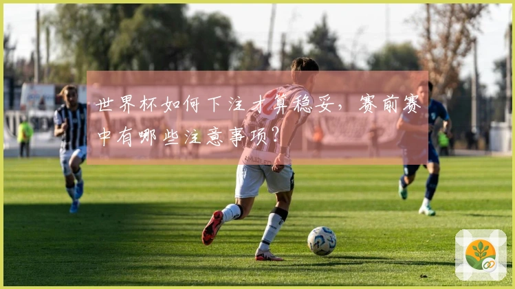 世界杯如何下注才算稳妥，赛前赛中有哪些注意事项？