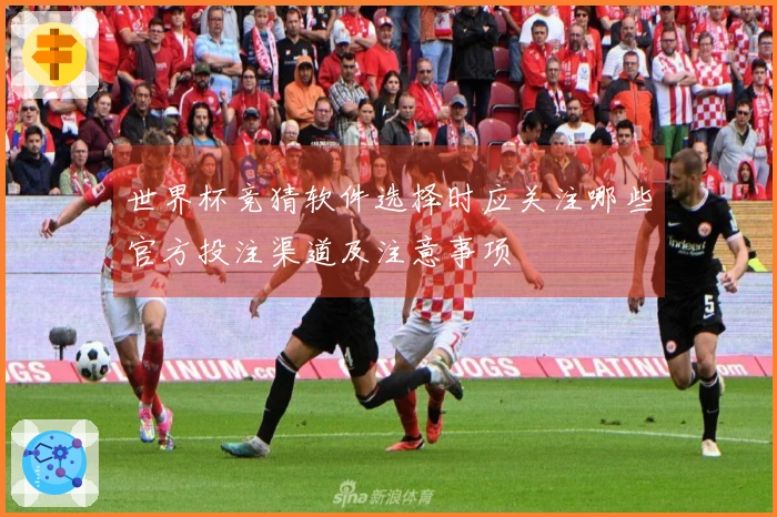 世界杯竞猜软件选择时应关注哪些官方投注渠道及注意事项