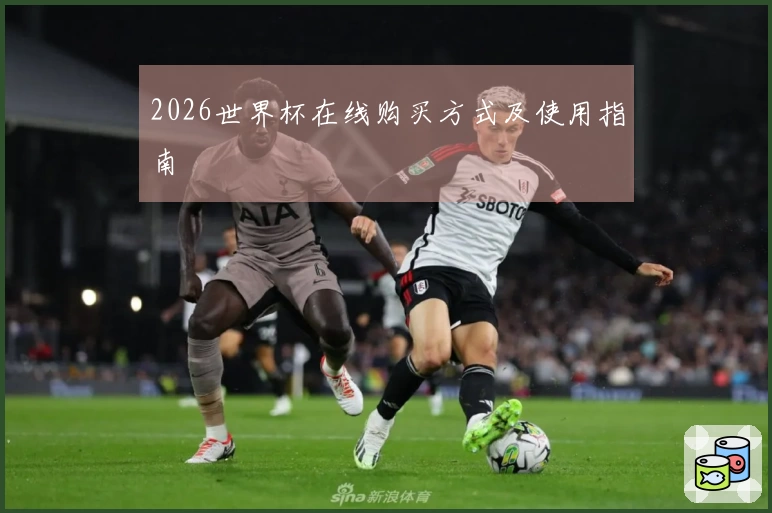 2026世界杯在线购买方式及使用指南