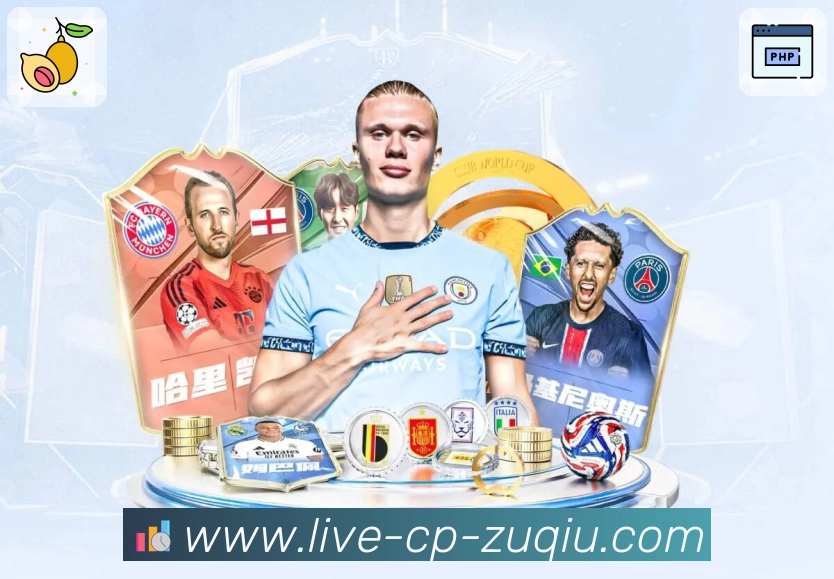 足彩平台展示图